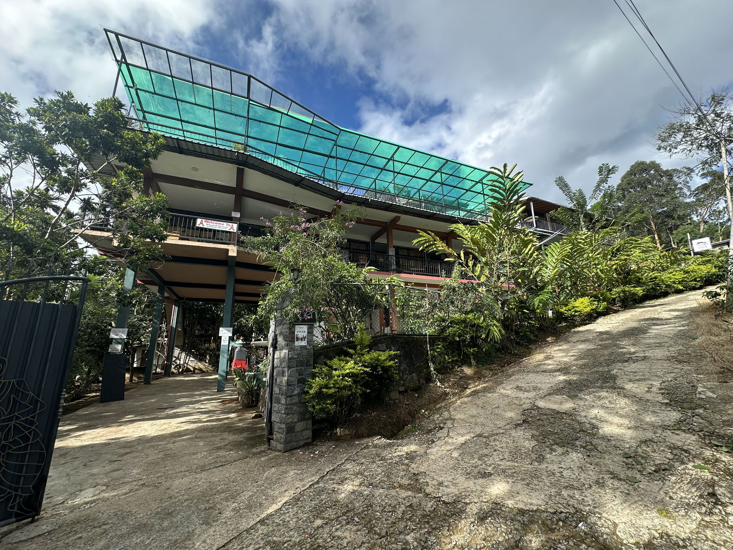 The approach to the hostel: a concrete drive climbing past trees to the building, with the green roof above.